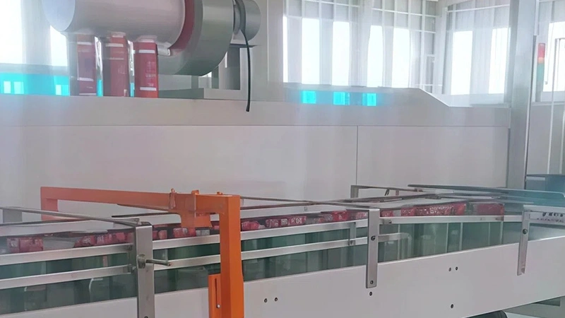 Can Body Air Cooling Conveyor used in Ketchup Can Line