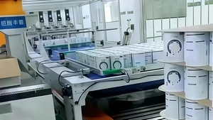 Automatic Robotic Palletizer for Milk Powder Can