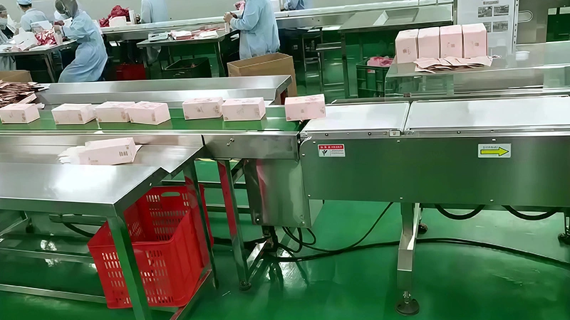 Belt Conveyor