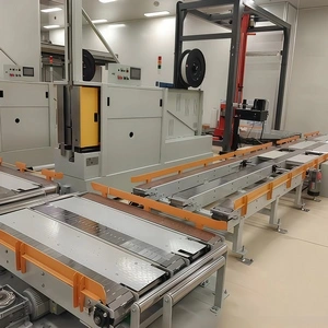 Stainless Steel Chain Plate Conveyor