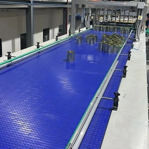 Plastic Chain Plate Conveyor